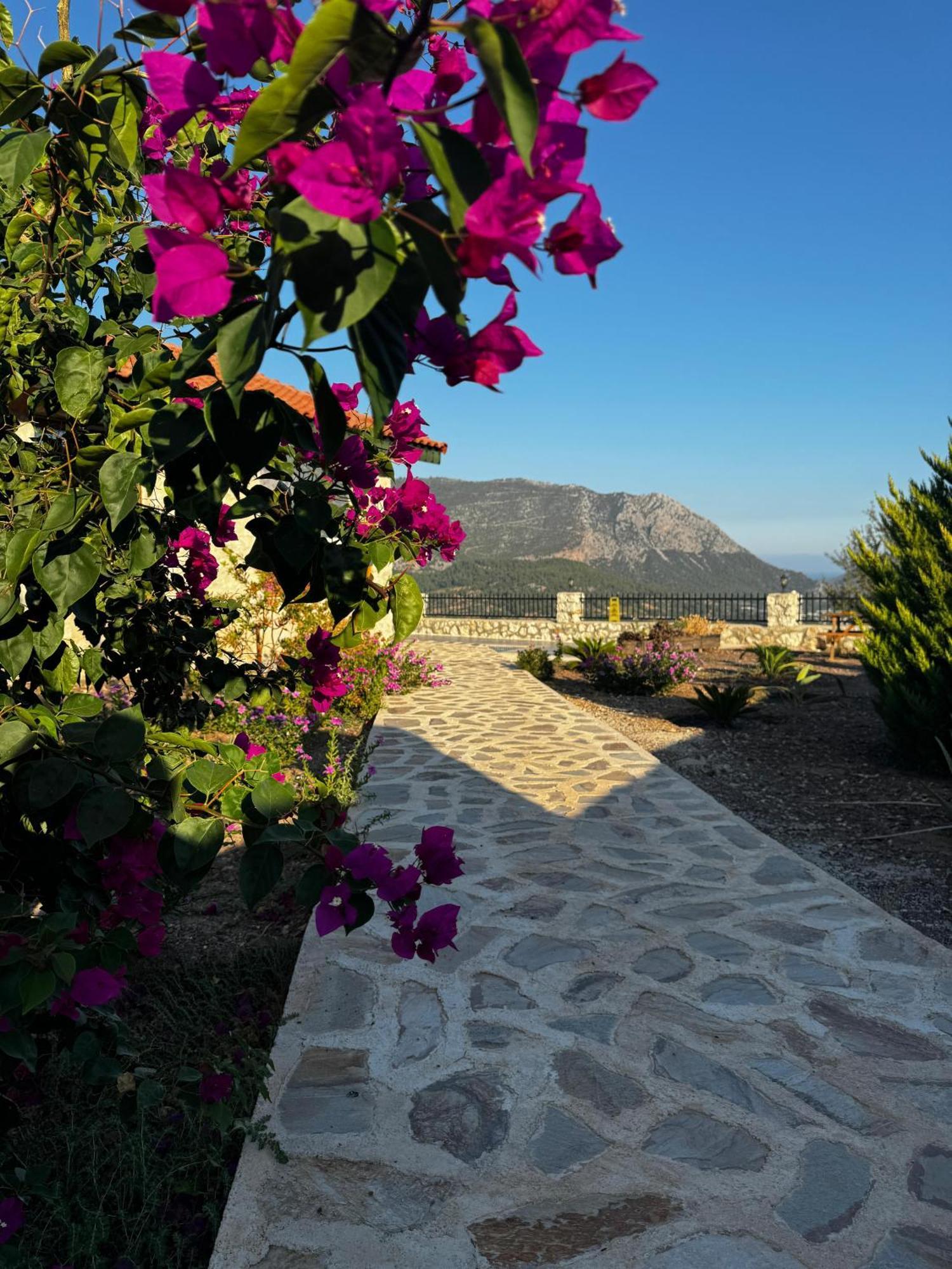 Villa Teras Adrasan Exteriör bild