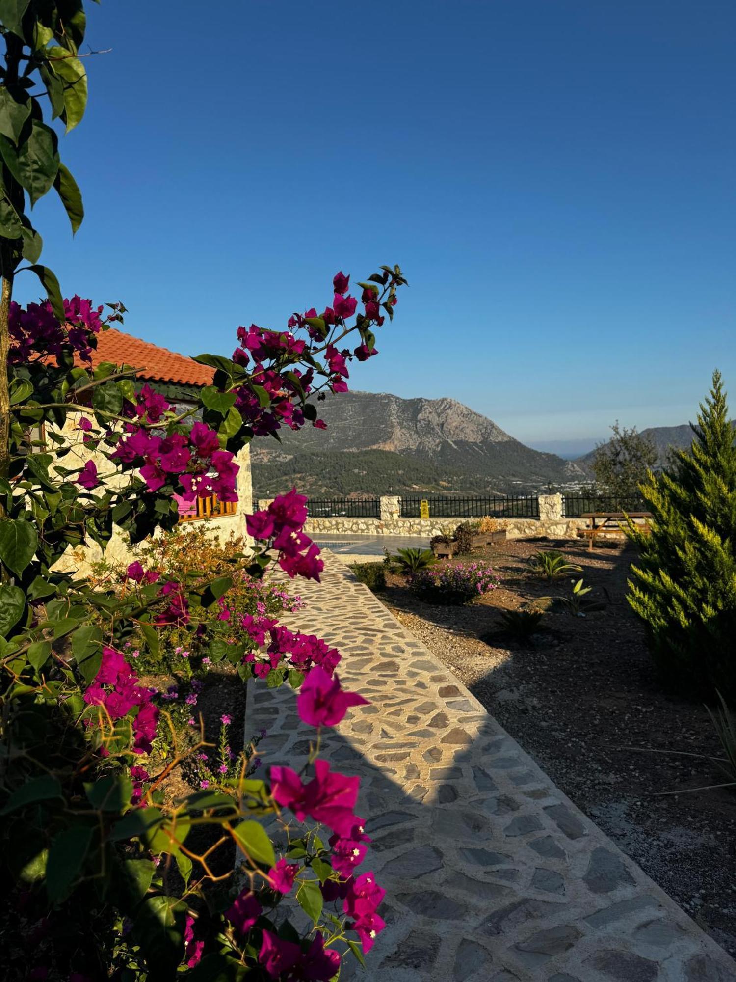 Villa Teras Adrasan Exteriör bild
